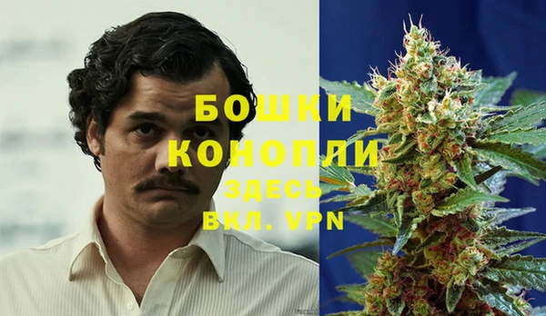 стаф Абдулино