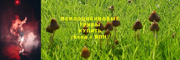 хмурый Новозыбков