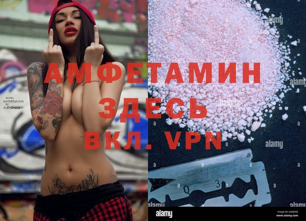 трава Абаза
