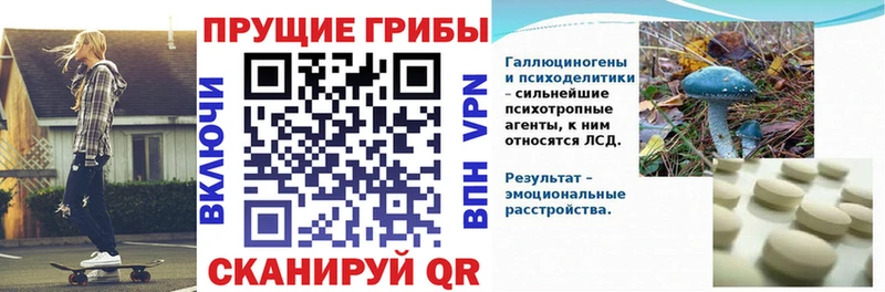 Псилоцибиновые грибы MAGIC MUSHROOMS  хочу наркоту  Алатырь 